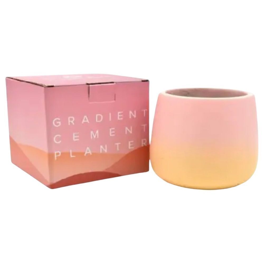 NEW Artisan Colorful Ombre Gradient Cement Planter by Sunset Park Pink Yellow